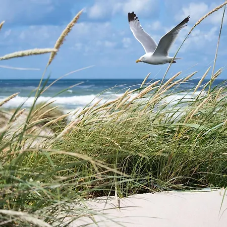 In By The North Sea * Knokke-Heist